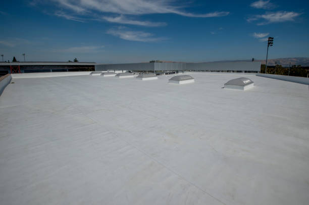 Best Roofing for New Construction  in Scottsville, KY