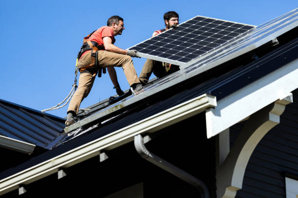 Best Roof Moss and Algae Removal  in Scottsville, KY