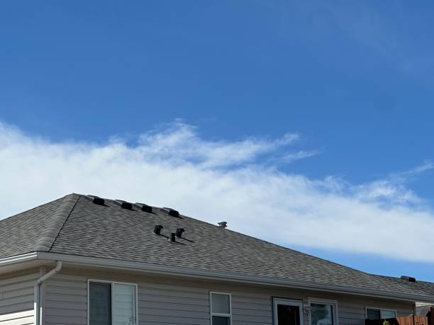 Best Sheet Metal Roofing  in Scottsville, KY